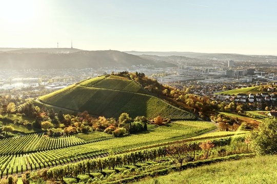 terranets bw setzt ab 2021 auf klimaneutrales Treibgas und Ökostrom