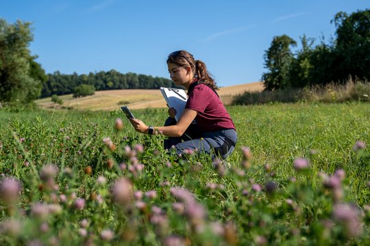 terranets bw: Voruntersuchungen entlang der geplanten Trasse der SPO