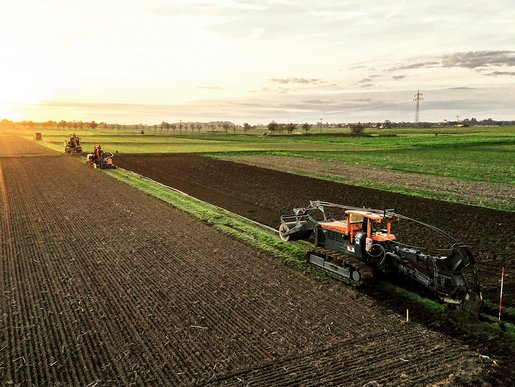 Feld im Sonnenaufgang
