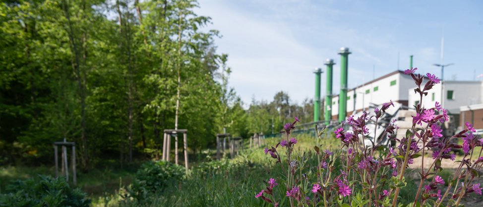 Bau der Gasverdichterstation Mörsch in Rheinstetten | Mai 2026: Betriebsgenehmigung erteilt 