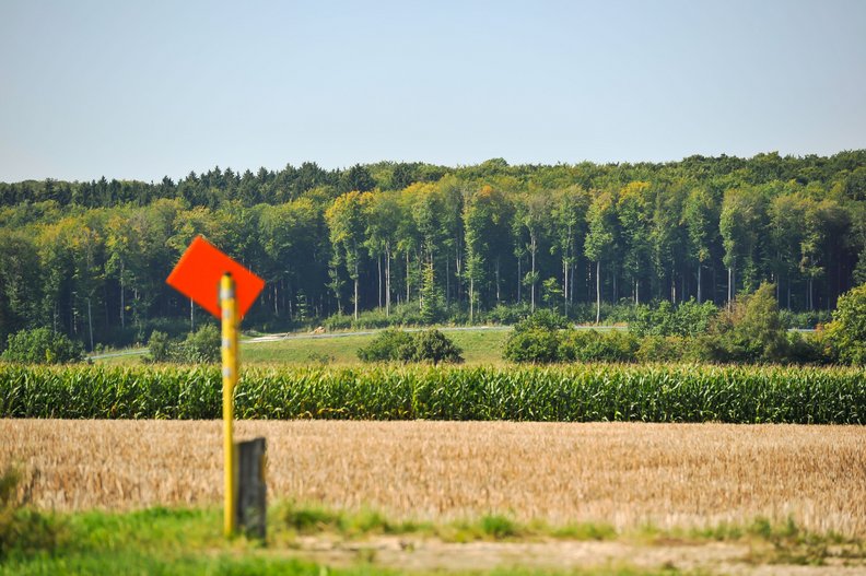 Schilderpfahl am Feldrand, Feld und Wald im Hintergrund