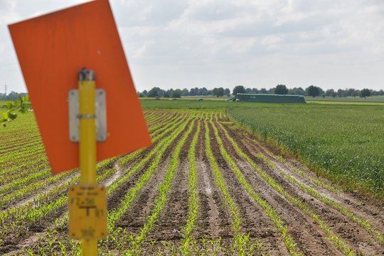 terranets bw: Rahmenvereinbarung für SEL (Süddeutsche Erdgasleitung)