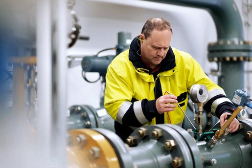 terranets&nbsp;bw: Unsere Dienstleistungen - Prüfung und Gutachten