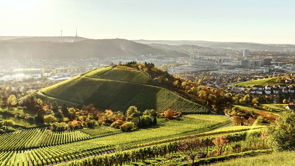 terranets&nbsp;bw: Wer wir sind und wofür wir stehen