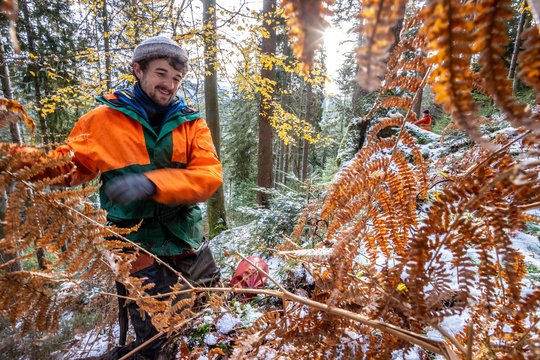 Bildquelle: Bergwaldprojekt e. V.
