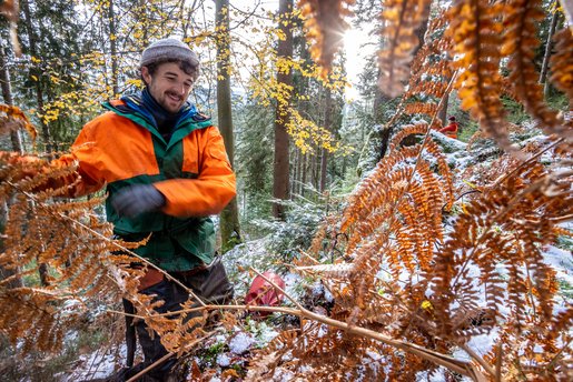 Quelle: Bergwaldprojekt e. V.