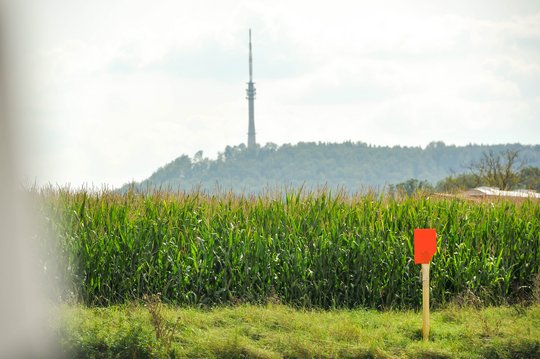 [Translate to English:] FNB planen Start des bundesweiten Marktgebietes für Oktober 2021