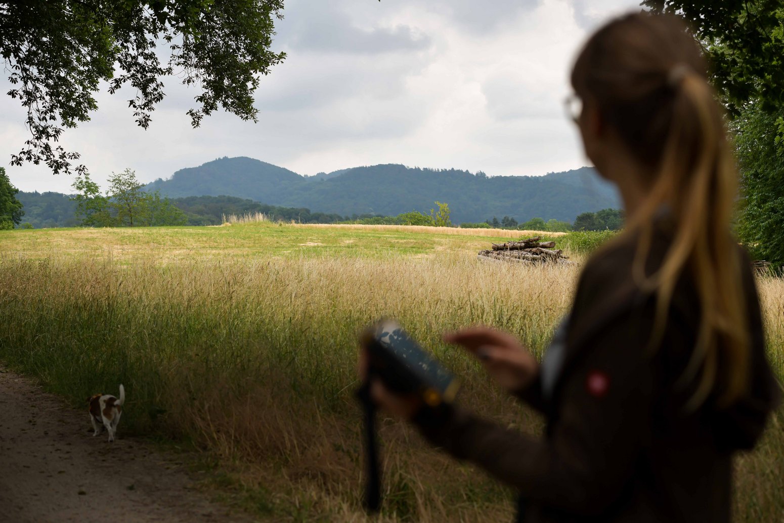 Mensch blickt auf Landschaft