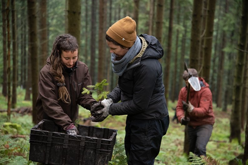 terranets bw setzt sich gemeinsam mit dem Bergwaldprojekt für den Erhalt von Mooren in Baden-Württemberg ein