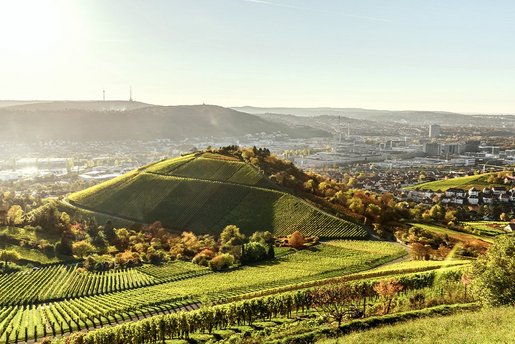 Feldblick auf Stuttgart